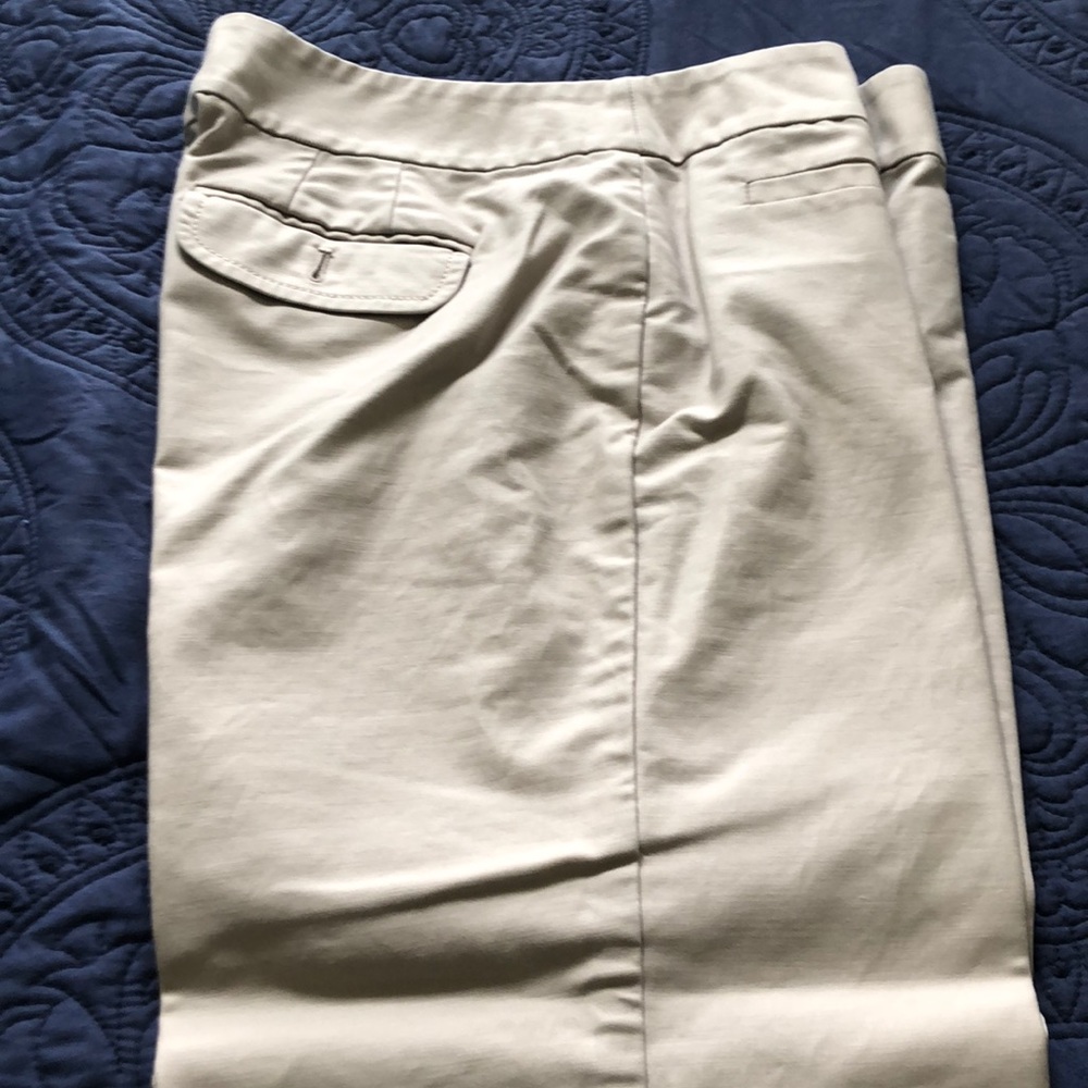 Ann Taylor crops!